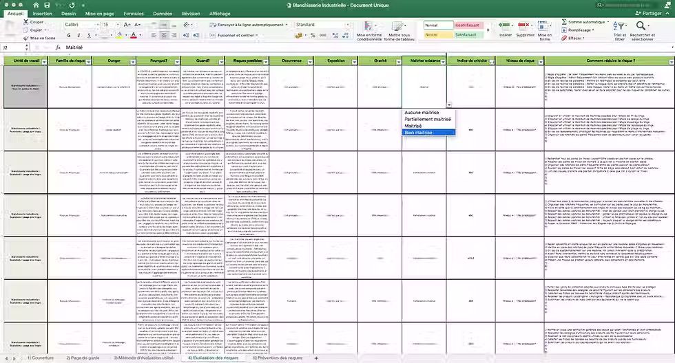 Miniature : Document Unique Blanchisserie Industrielle - Trame d'évaluation des risques professionnels