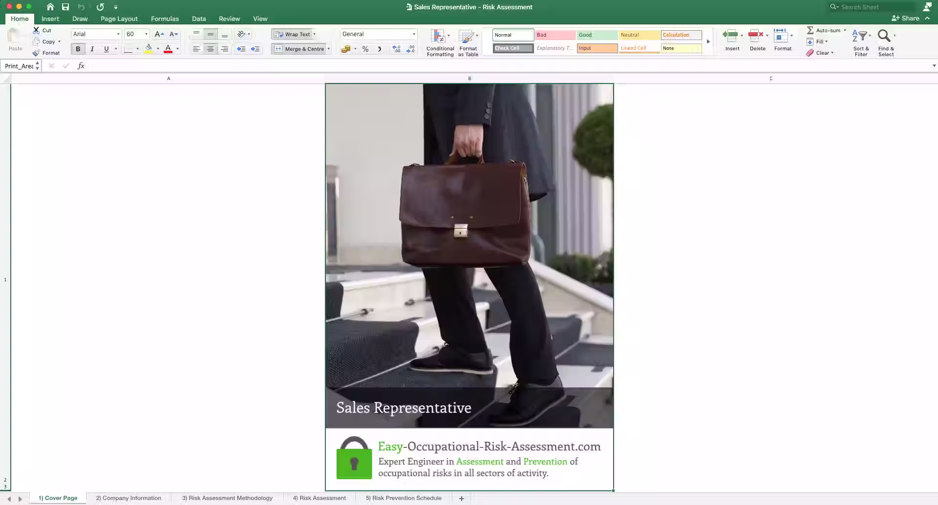 Health and Safety Risk Assessment Sales Representative - Cover Page