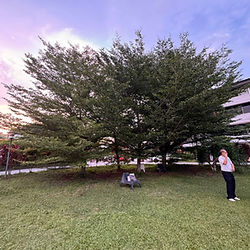 The Yards@Joo Chiat