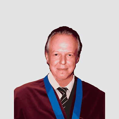 Luiz Antonio Cambiaghi Magnani