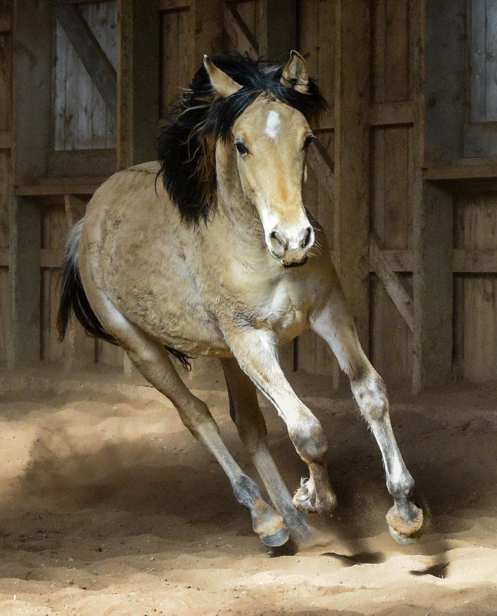 At 12 months old
