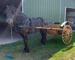 d9929f52-cd90-4c0e-b34a-decc43723062_edited