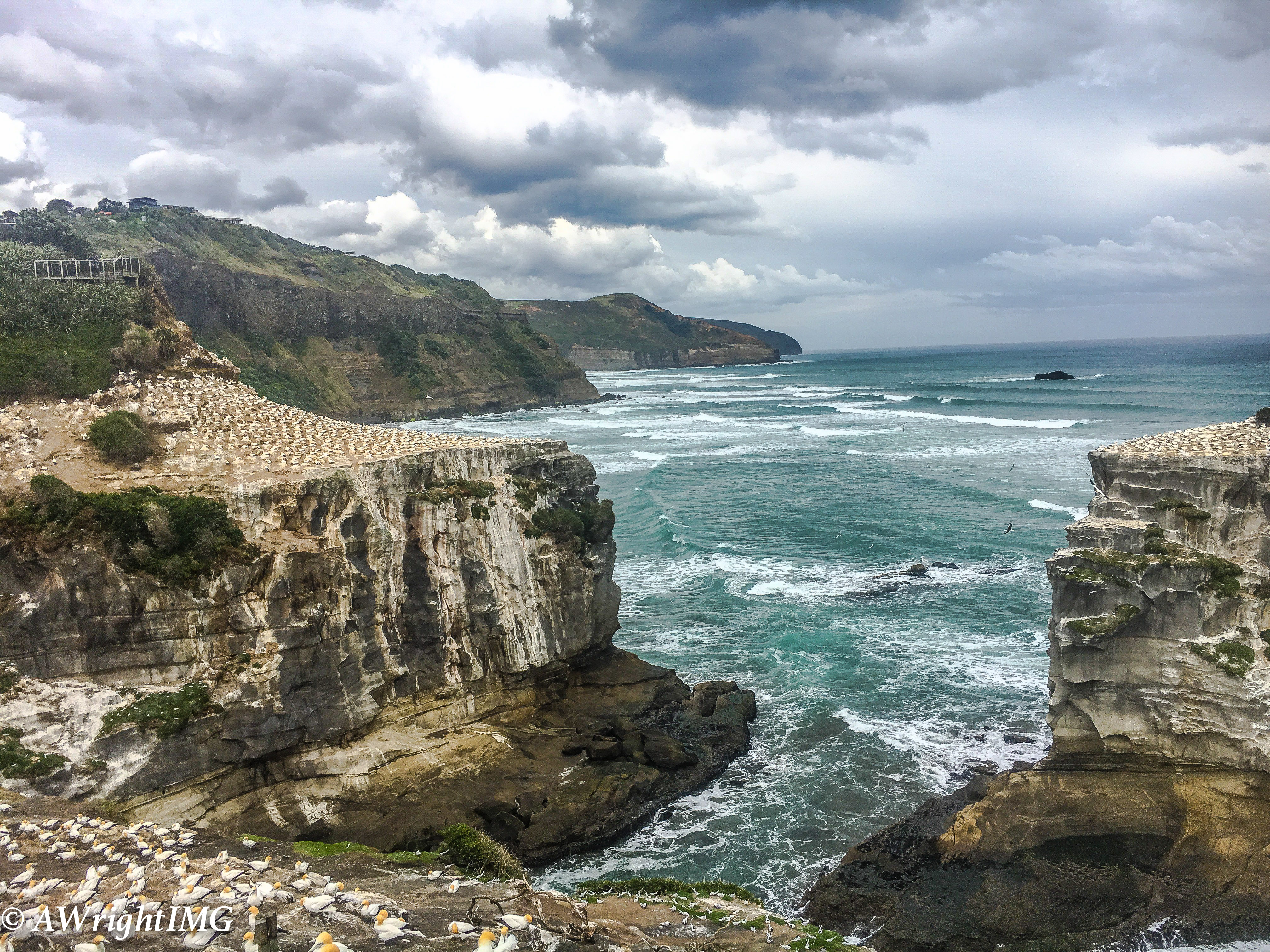 Gannet Beach