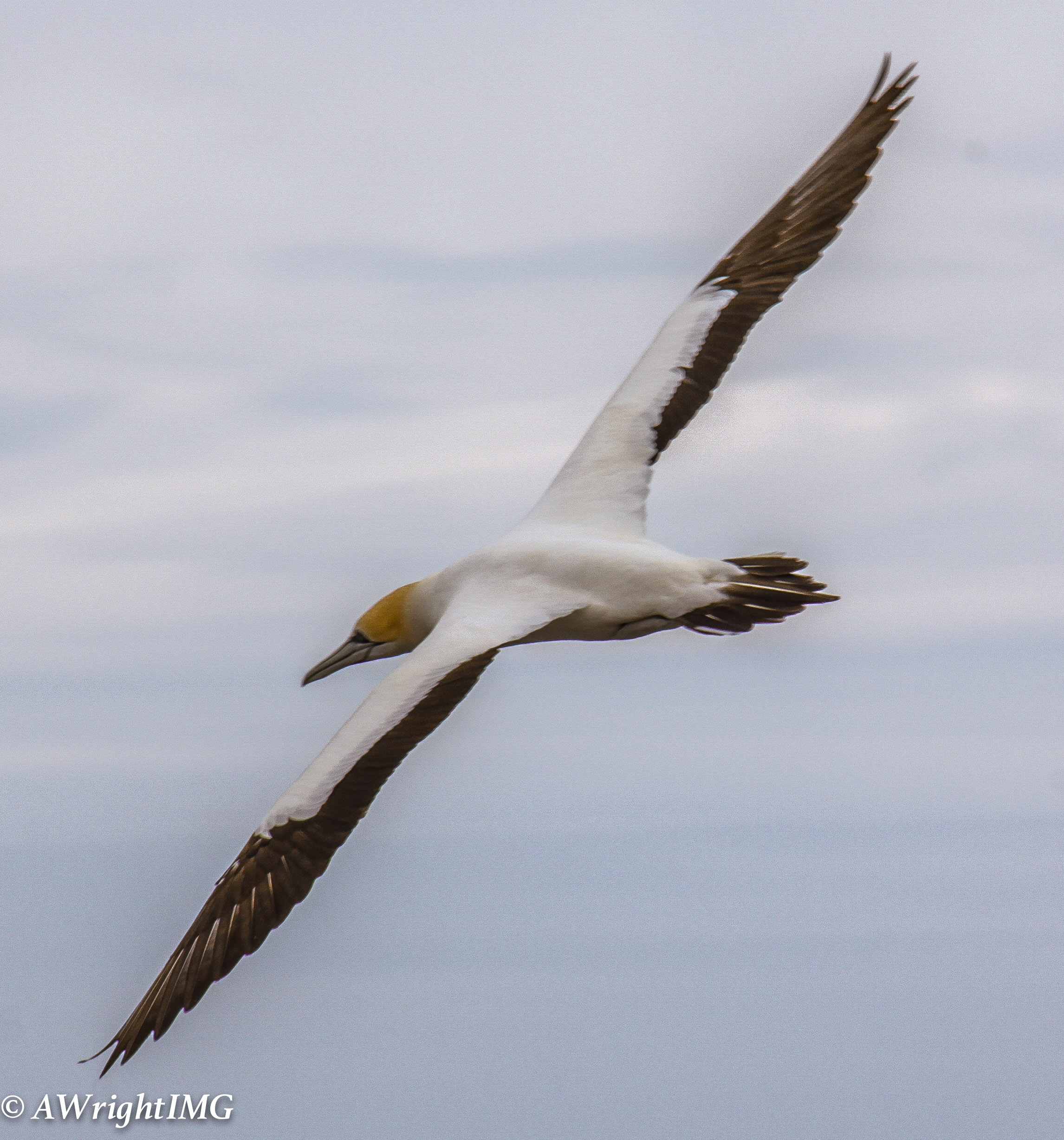 Flying Around