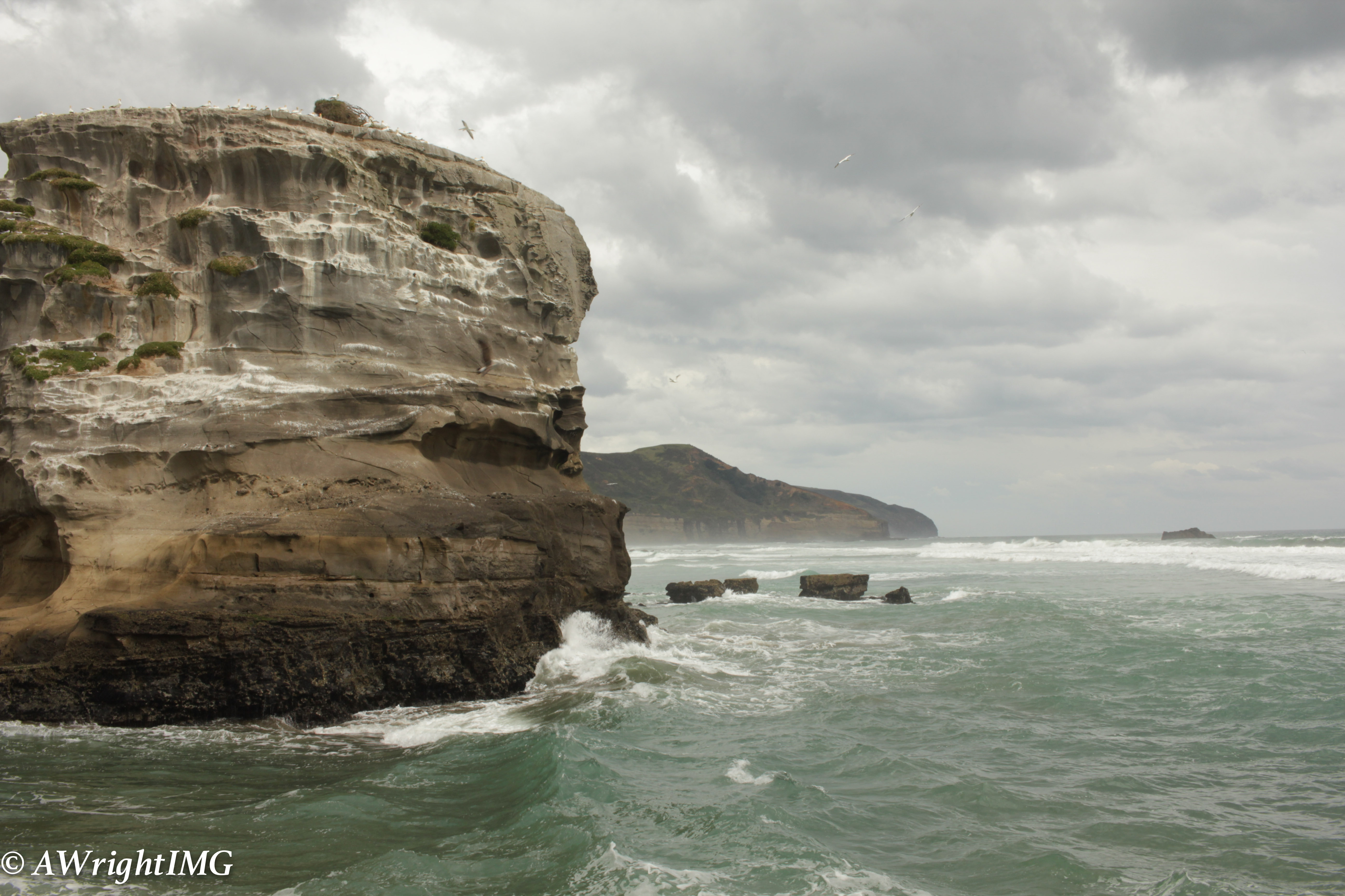 Earth, Wind, & Water
