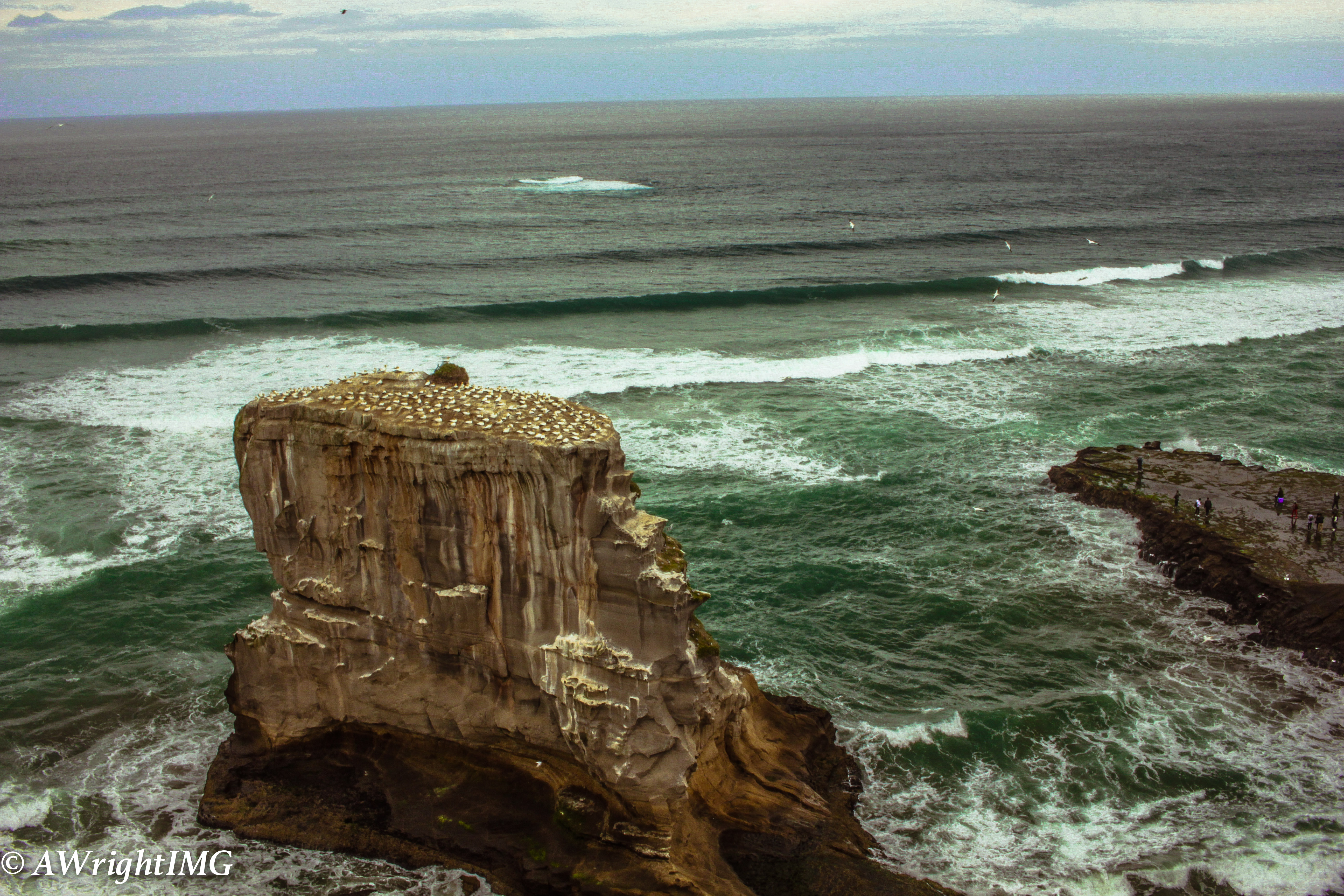 At the Edge