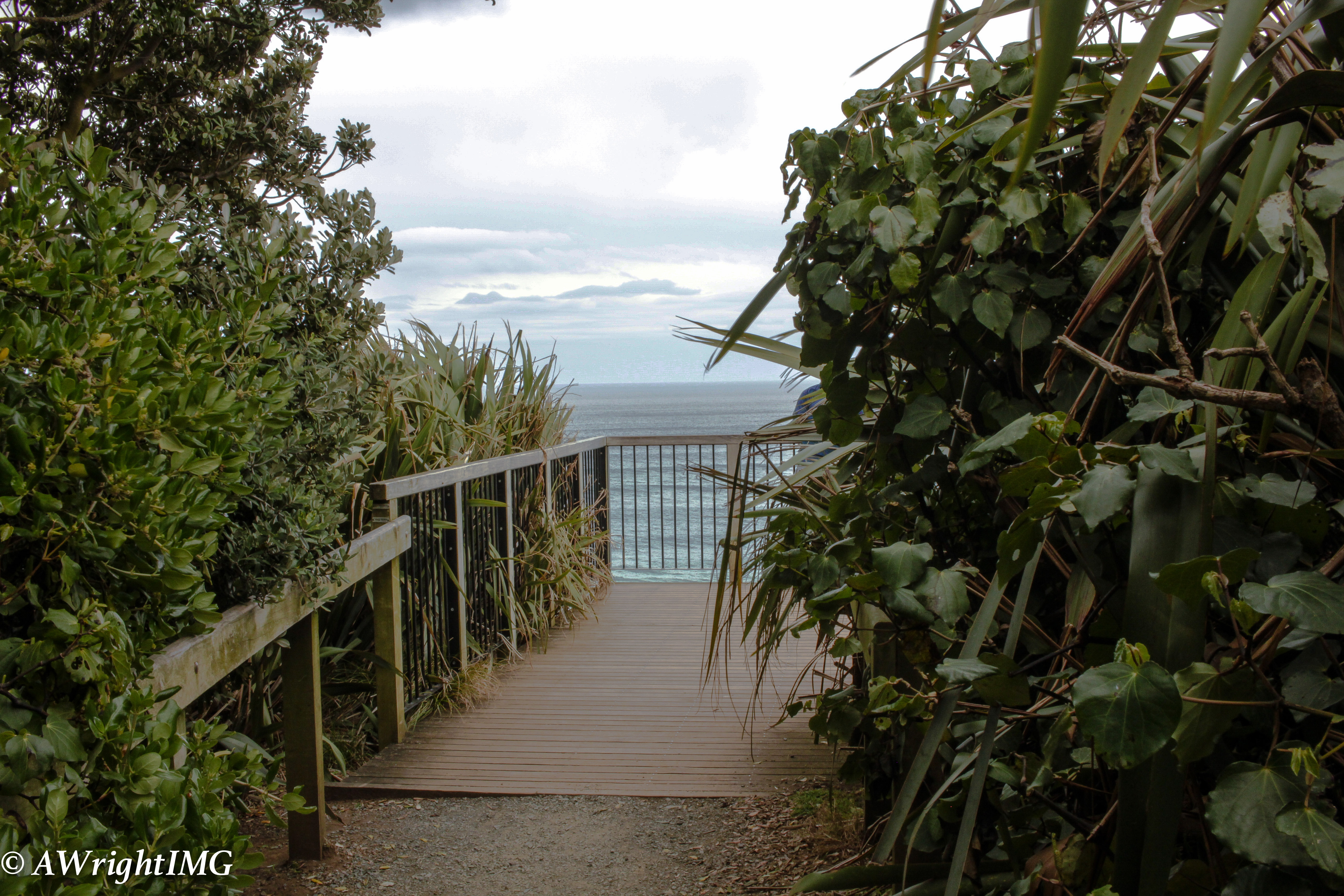 Walking the Path