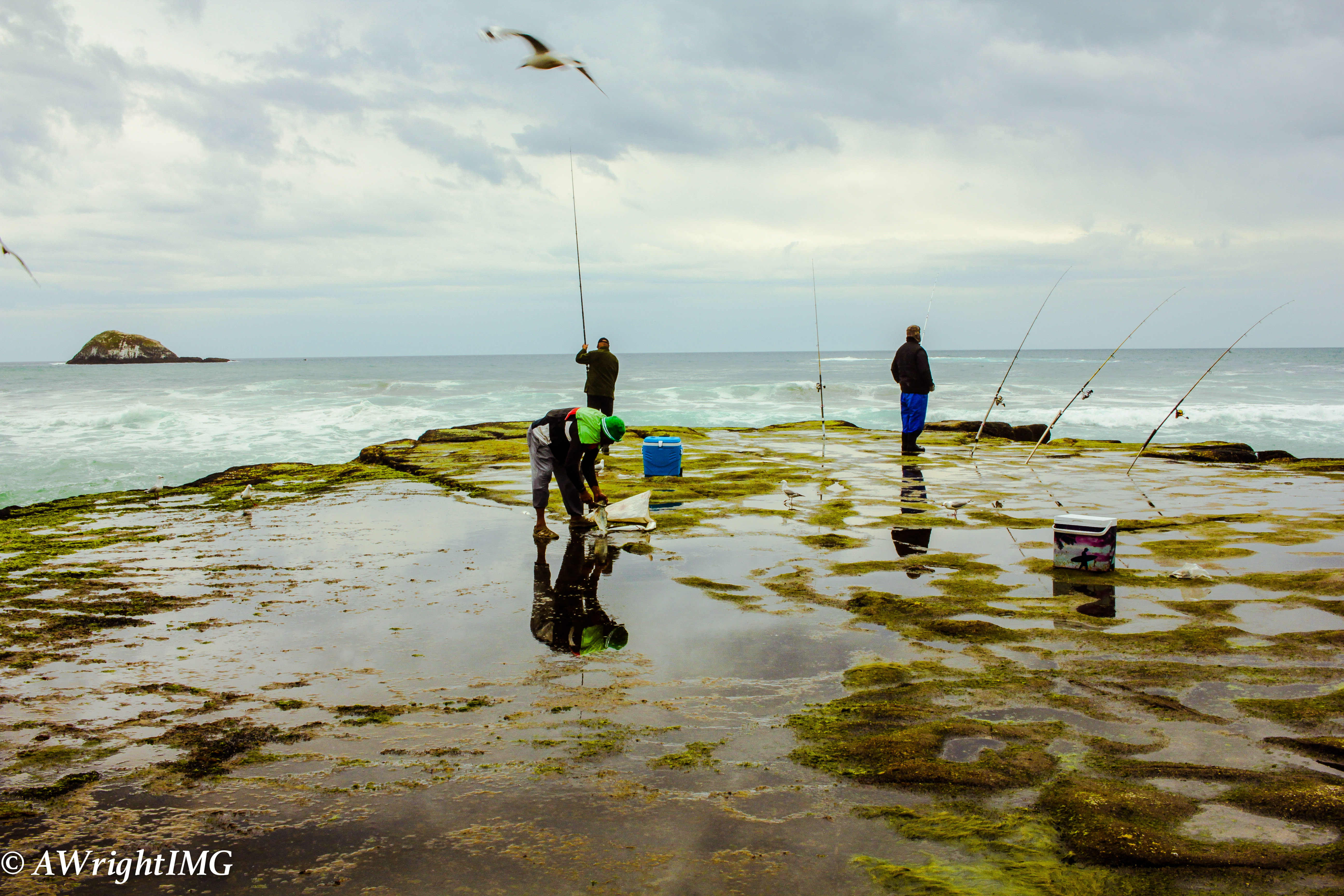 Group Fishing