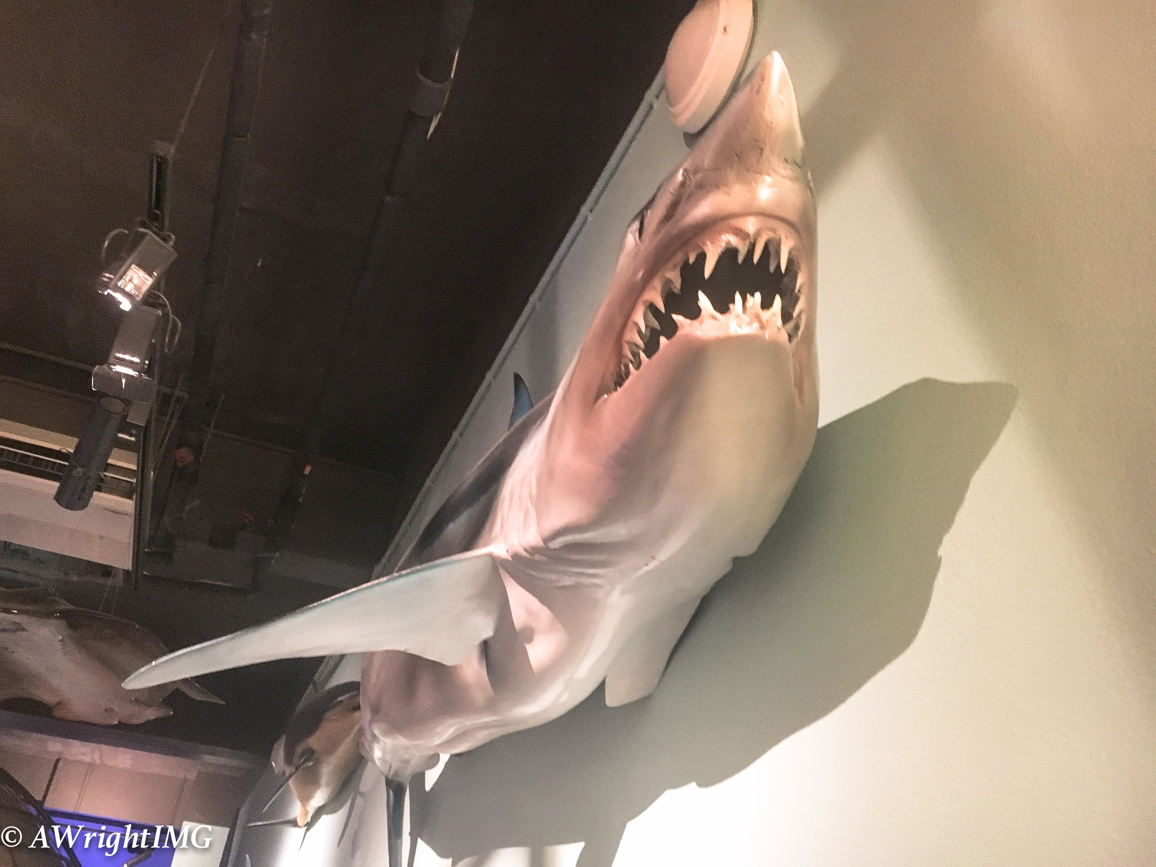 Mako