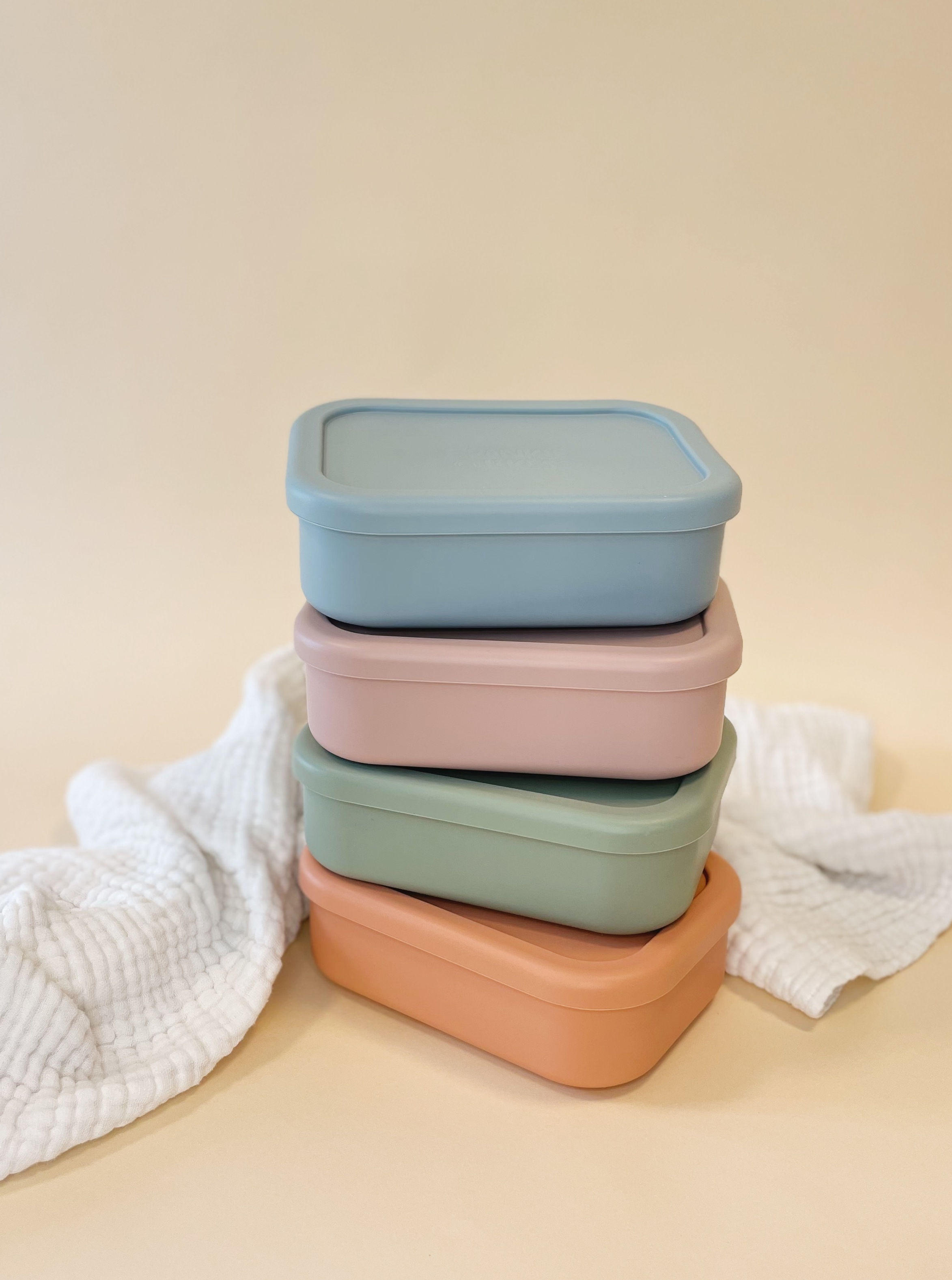 Spill Proof Bento Boxes