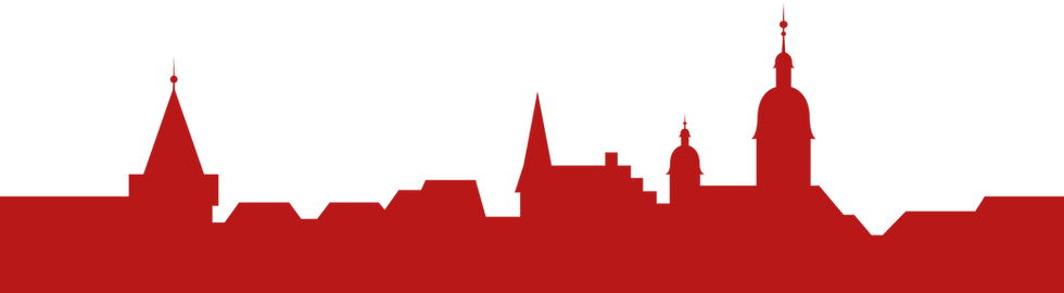 BSVSursee_Skyline.png