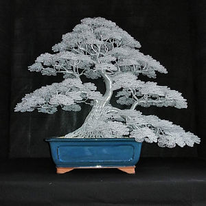 Extra large trees