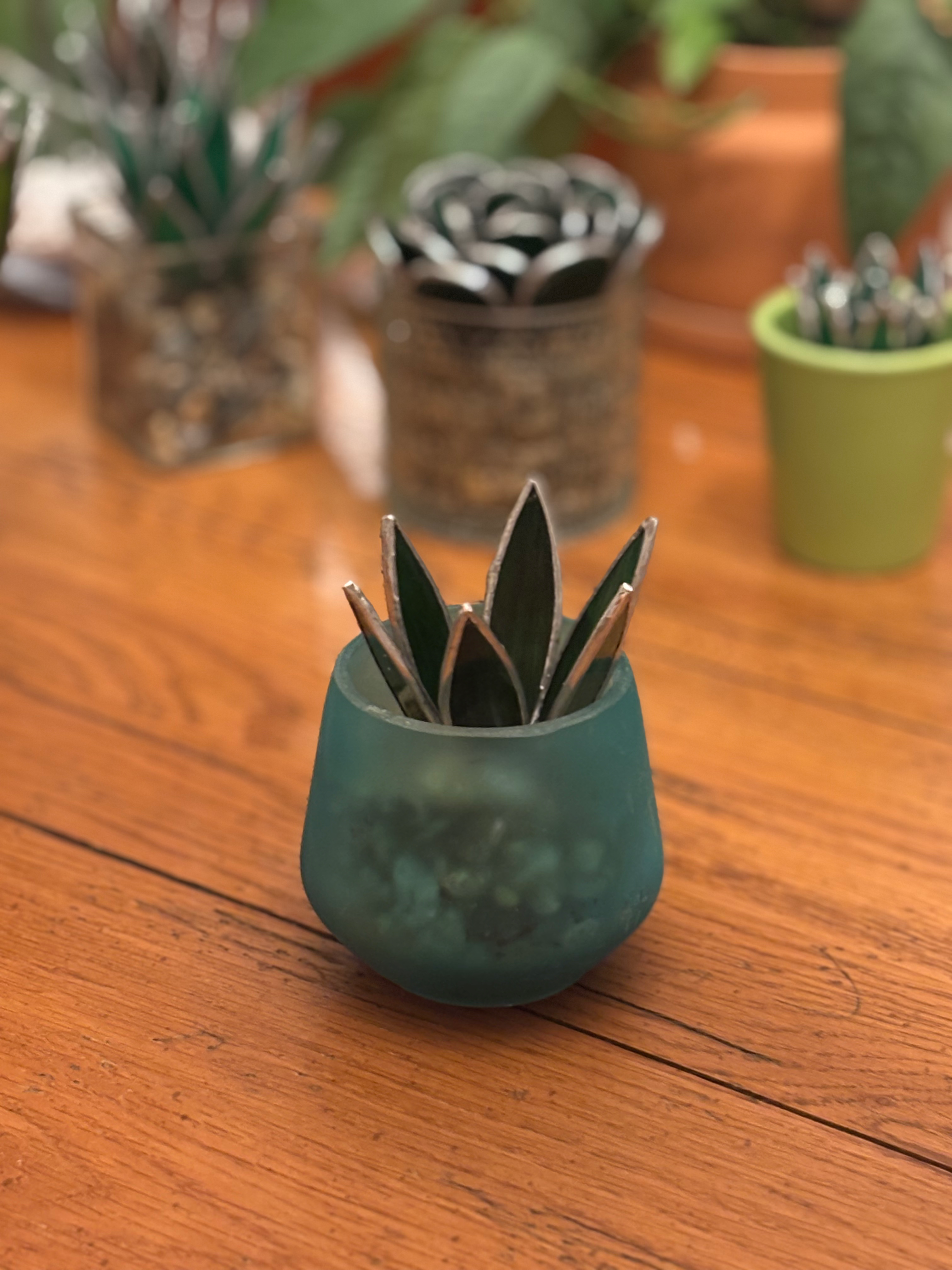 3D Succulent