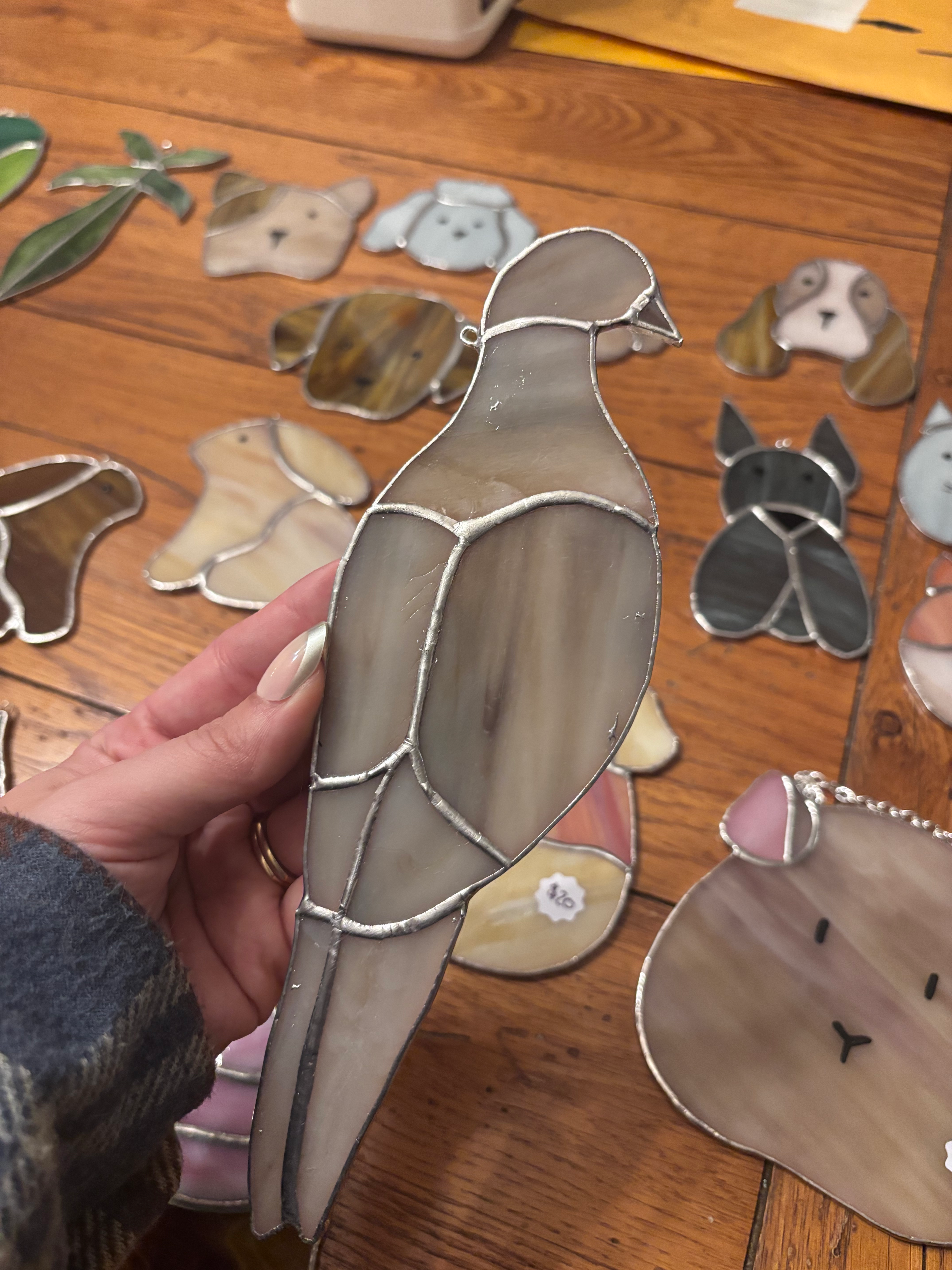 Mourning Dove