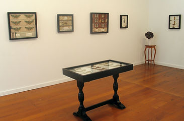 'Collections' TLG 2.JPG