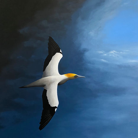 Every storm runs out of rain._ - Philippa Bentley.jpeg