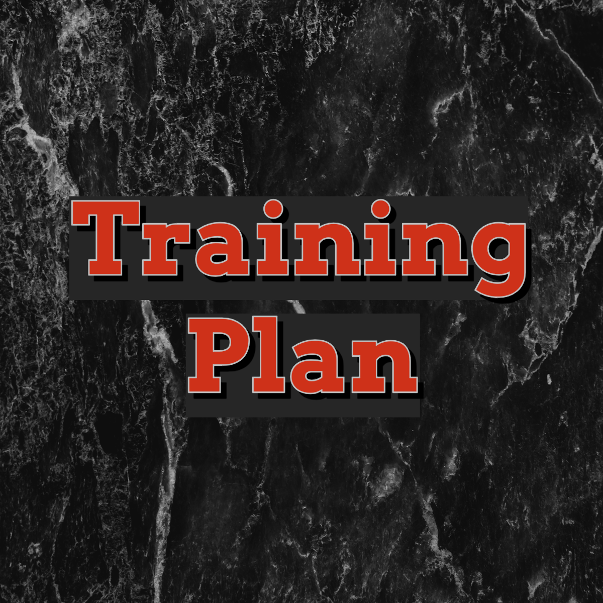 Bespoke Training Plan