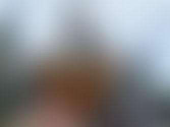 Is the Disney Dining Plan Worth It in 2027?