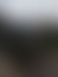 Recherche Financier-Constructeur pour Projet Immobilier - COTE D'IVOIRE - RIVIERA 4 M'BADON