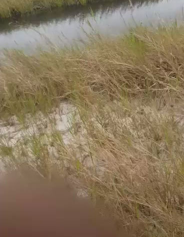 90 HECTARES - EN VENTE - COTE D'IVOIRE - GRAND BASSAM - 20.000 FCFA/M²