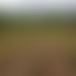 44 HECTARES AVEC ACD  - EN VENTE OU PARTENARIAT CONSTRUCTION- COTE D'IVOIRE - BINGERVILLE AKANDJE- 35.000 FCFA/M²