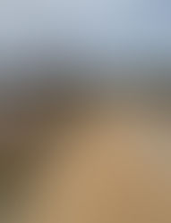 900 M² AVEC ACD - EN VENTE - COTE D'IVOIRE - COCODY ANGRE CHU - 250 MILLIONS FCFA