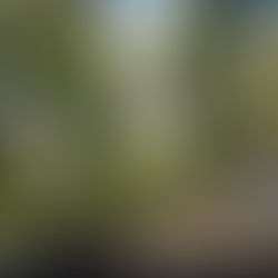 VILLA DUPLEX DE 5 PIÈCES-EN VENTE -COTE D’IVOIRE- ASSINIE _MAFIA À 450 MILLIONS FCFA