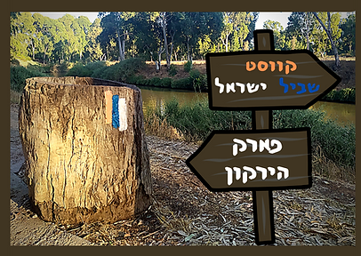 קווסט שביל ישראל (3).png