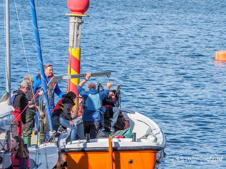 SEAS has been nominated for insport Organisation of the year!!