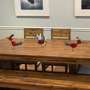 Birds
