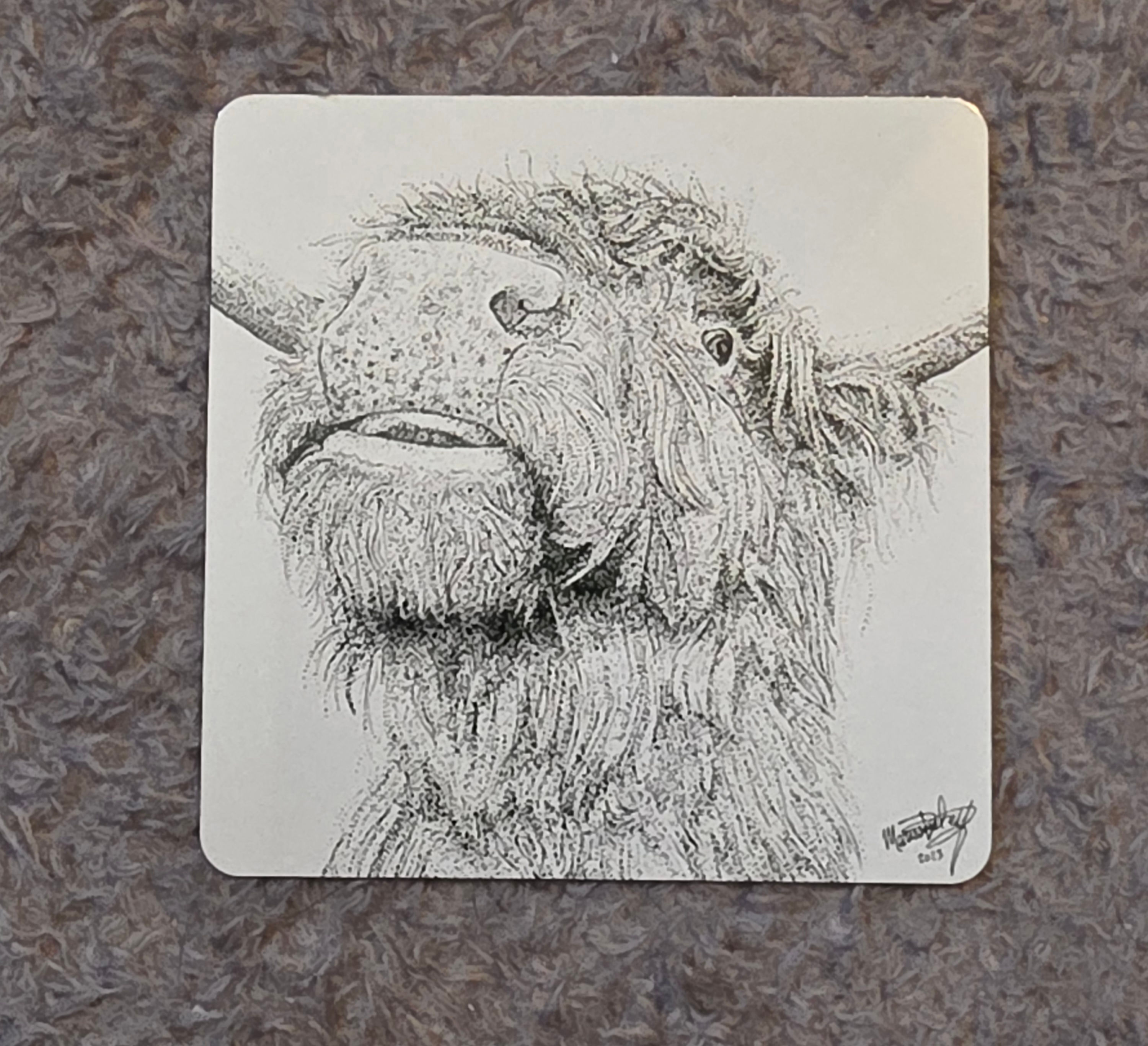 Highland Cow Magnet