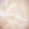 close caption of light beige calming feathers in the air, photo in off-white tone.jpg