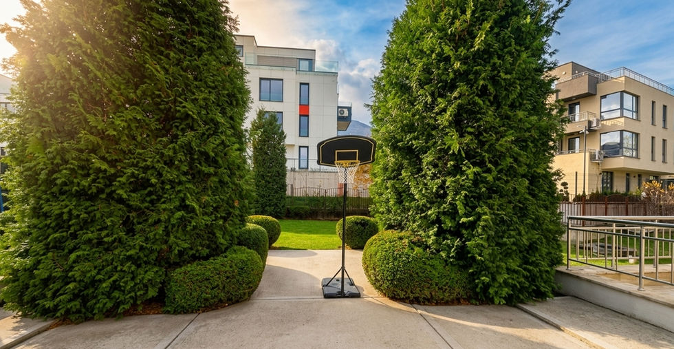 Озеленен двор с алея и баскетболен кош