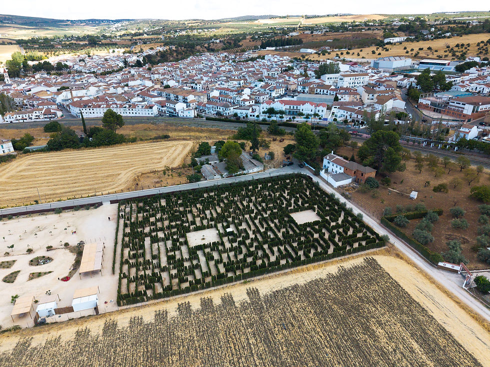 Laberinto de Arriate _ 14