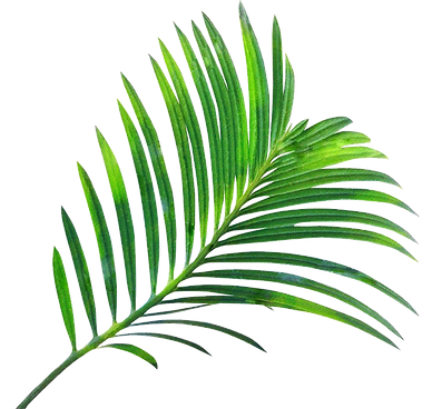 leaf-1.png