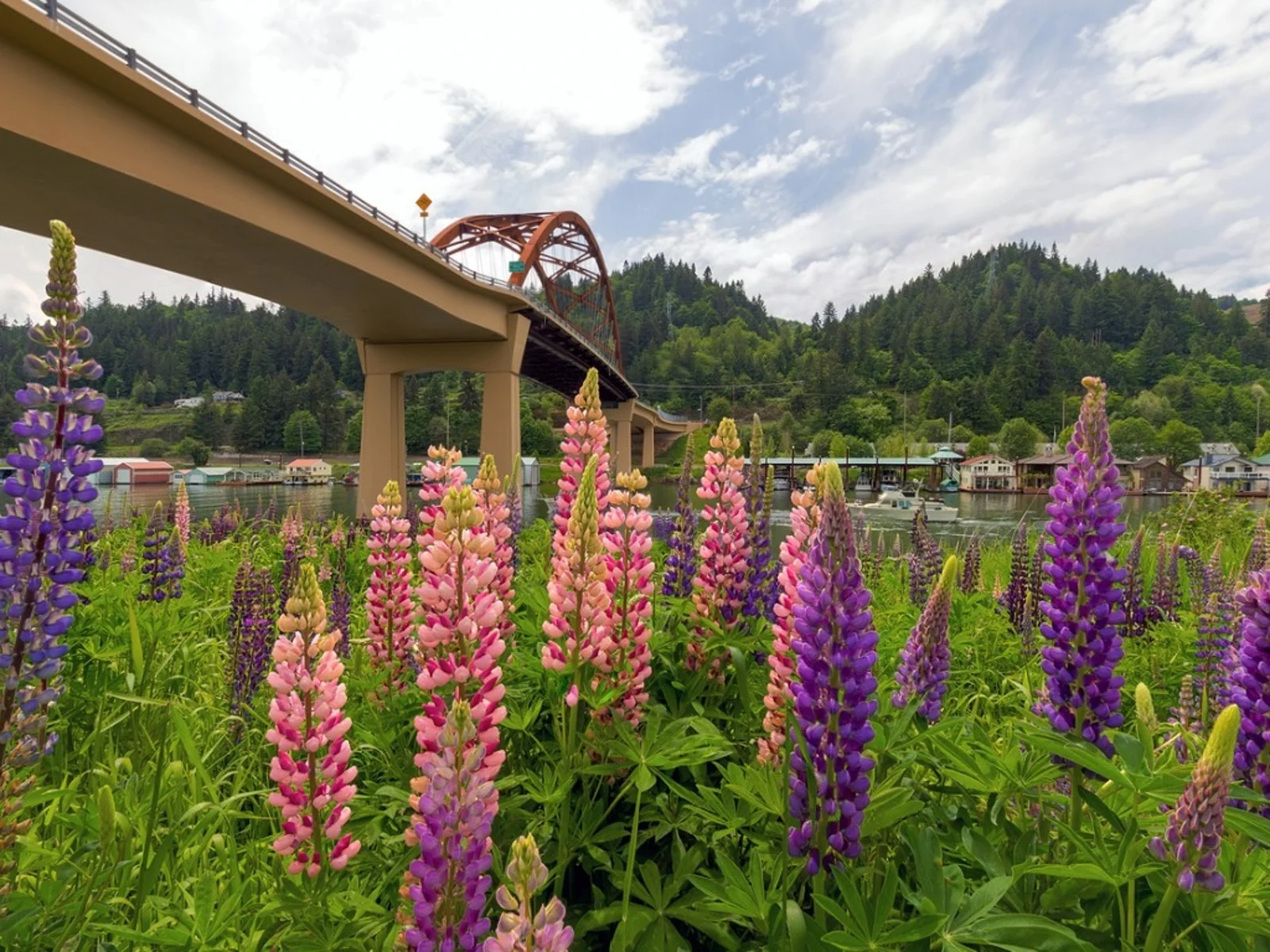 northwest-plants-that-thrive.webp