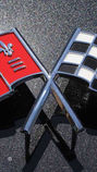 Chrome-plated emblem, custom spray painted using special masks