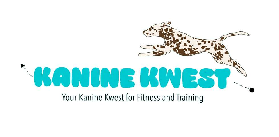 logo blue long_edited.png