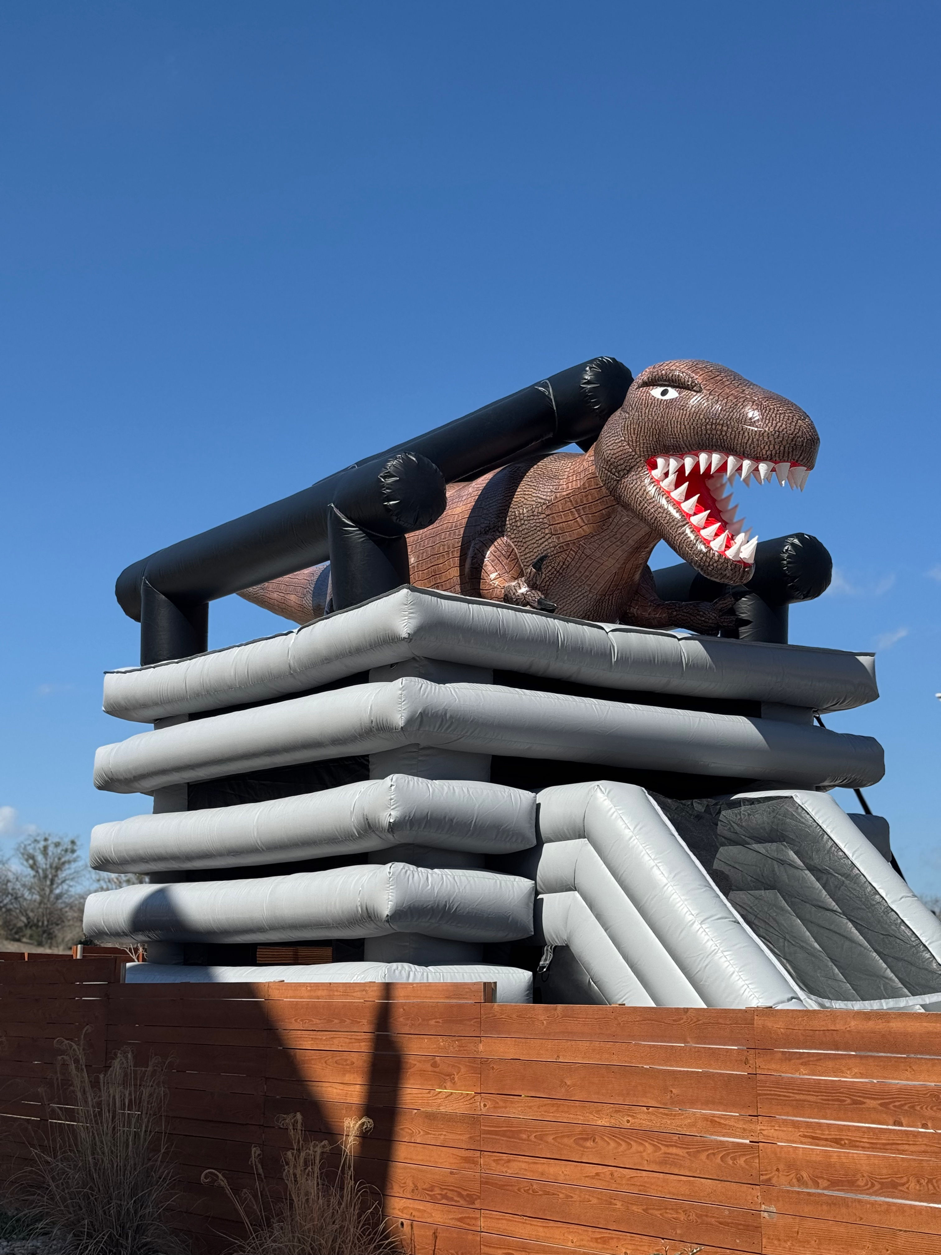 Service: Bounce House Rentals