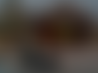 Exploring the Rich History of South Carolina Courier: A Journey Through Time