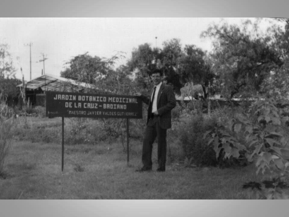 Biólogo Alejandro Villaseñor Becerra