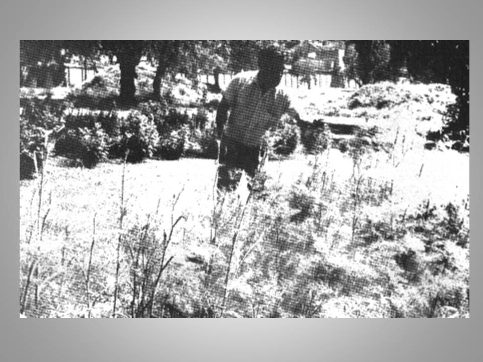 Jardín Botánico Medicinal FESZ