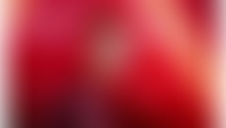 Tricia Deguire dans l'organisation du Phoenix