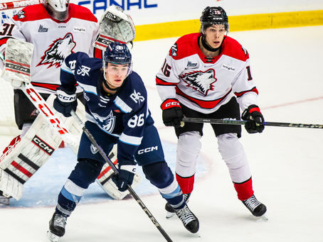 Un début de saison discutable pour la meute