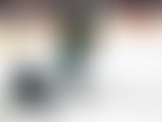 Les 5 meilleures recrues de la LHJMQ