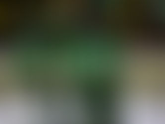 Du succès inattendu pour les Foreurs