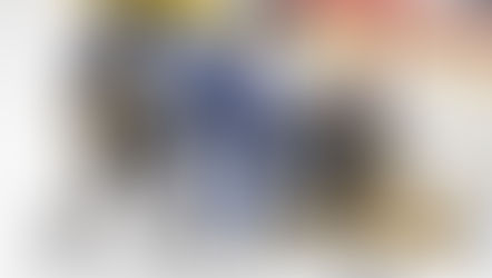 Les Islanders de Charlottetown commencent l'année du bon pied