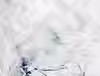 11062b_3cfb283d0da54879aa0b523d7b4dc1ff~mv2.avif