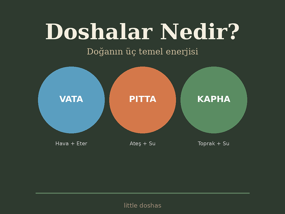 Doshalar Nedir?