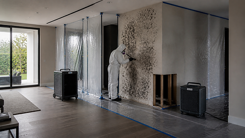 mold (2).png